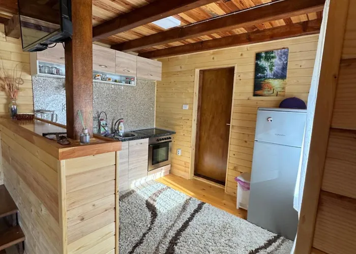 펜션 Vikendica Sa Bazenom Magnum *